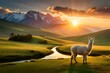 llama in mountains  in sunset background