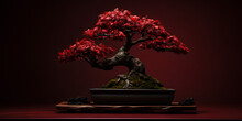 Red Bonsai Tree On Dark Background