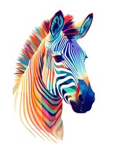 A Colorful Zebra With A White Background