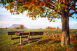 canvas print picture - Tisch und Bänke in einer Herbstlandschaft