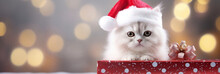 Cute White Angora Kitty With Santa Hat And Christmass Gifts At The Bokeh Background,copy Space.Generated By AI.