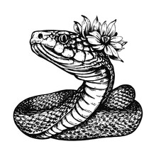 Snake Wearing A Cute Flower Crown Illustration