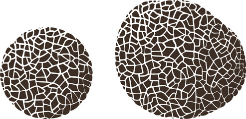 Sticker - Truffle logo. Isolated truffle on white background