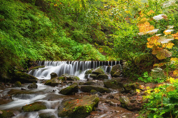 Beautiful autumn landscape with small mountain crystal clear creek surrounded by colored forest, natural outdoor travel background