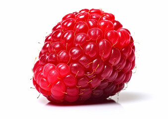 Single fresh red raspberry on white background.Macro.AI Generative.