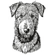 Airedale Terrier dog isolated drawing on white background, head pet line illustration
