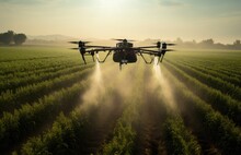 Smart Farm Drone Flying Spray Modern Technologies In Agriculture. Industrial Drone Flies Over Green Field And Sprays Useful Pesticides To Increase Productivity Destroys Harmful Insects. 