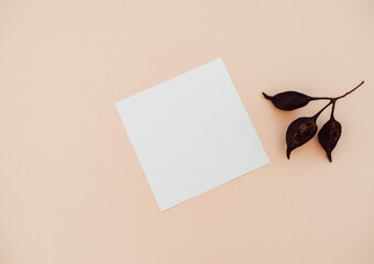 Wall Mural - White blank paper square card mockup and dry brown branch on beige background.