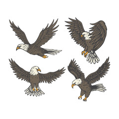 Set of Bald eagle flying cartoon vector illustration