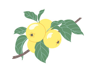 Wall Mural - Simple Apple Tree Branch with Ripe Apples.