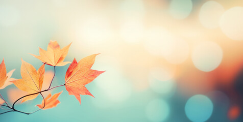 Abstract autumn nature background, with leaves on a branch, glowing sun and warm seasonal colors