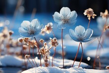 Winter Scenery With Frosty Ice Flowers, Snow, And Crystals. Generative AI