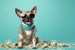 Cool rich successful hipster dog with sunglasses and cash money. Blue background