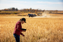 Young Farm Woman Using Advanced Farming Technologies During Grain Harvest, Alberta, Canada