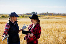 A Mature Farm Woman Standing In A Field Working Together With A Young Woman At Harvest Time, Using Advanced Agricultural Software Technology On A Pad; Alcomdale, Alberta, Canada