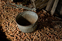 Decaying Corn Cobs Surround A Metal Bucket In An Old Barn; Dunbar, Nebraska, United States Of America