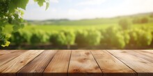 Empty Wood Table Top With On Blurred Green Vineyard Landscape Background In Spring