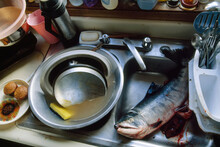 Kitchen Sink With Fish Carcass; North Slope, Alaska, United States Of America