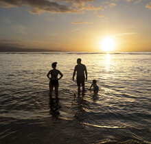 View Taken From Behind Of A Silhouette Of A Family Standing In The Water At Twilight, Enjoying Nature; Baby Beach, Lahaina, Maui, Hawaii, United States Of America