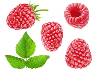 Wall Mural - Collection of isolated raspberry fruits, isolated on white background