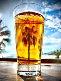 Cold beer with palm tree