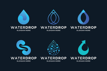 Wall Mural - water drop logo design unique concept.