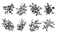 Sakura Flowers On Branches With Leaves, Asian Ornament For Stencil. Black Outline On A Transparent Background With Isolated Elements. Vector Set.