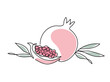 Pomegranate. Modern single line art drawing. Happy Shana tova continuous line draw design vector illustration