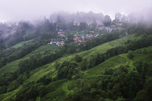 Panoramic View Of Misty And Cloudy Mountain Village Surrounded By Green Forest In Monsoon Season, Near Darjeeling Hill Station In West Bengal In India