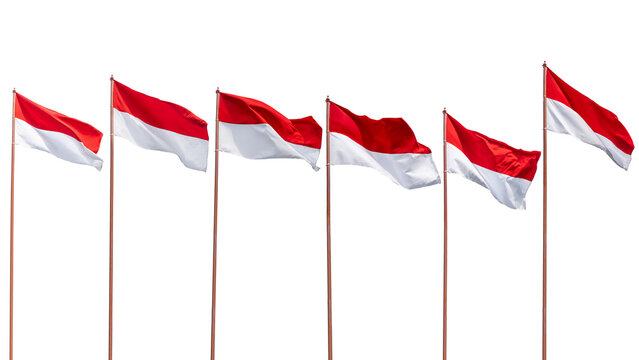 The Indonesian national flag