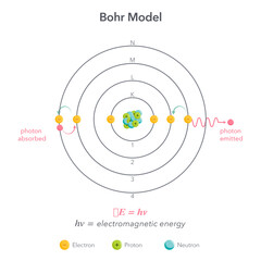 Bohr model physics chemistry atom vector illustration diagram