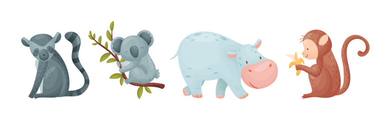 Wall Mural - cute african animals and zoo creature vector set