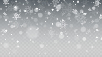 Poster - Falling Snow Overlay Background. Snowfall Winter Christmas Background. Vector Illustration.