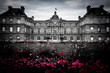 Flowers by the Luxembourg Palace in Selective Color - Paris, France