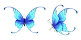 Fototapeta Motyle - Beautiful blue butterflies vector isolated on white background.