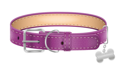 dog leather collar vector illustration