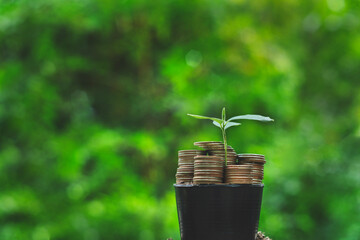 Wall Mural - Trees on stack of silver coins and green background. green business ideas Finance and Investment for Sustainability and Carbon Credit.