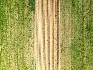 Fields, forest, pastures, aerial view