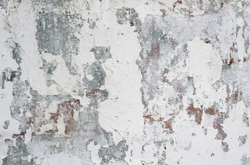 Canvas Print - Gray old wall background texture