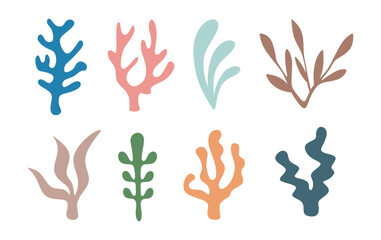 Wall Mural - Set of Seaweed shapes. Aesthetic elements collection isolated on white background. Vector illustration seaweeds, aquarium plants, underwater planting. Marine plants silhouettes flat illustration