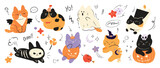 Fototapeta Pokój dzieciecy - Happy Halloween day lovey pet vector. Cute collection of cats with halloween costumes, ghost, bat, pumpkin, spider. Adorable animal characters in autumn festival for decoration, prints, cover.