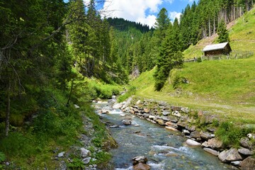 Wall Mural - Mur stream at Hintermuhr in Austria