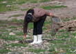 © Eric Lafforgue - North Korean woman collecting grass to eat in a field, North Hamgyong Province, Jung Pyong Ri, North Korea