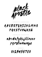 Wall Mural - Black Apostle is a fashionable modern brush font. English alphabet and numbers drawn by hand with a brush. Lettering. Latin alphabet.