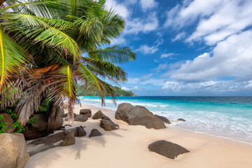 Wall Mural - Tropical Sunny beach, palm trees and blue ocean in paradise Seychelles. Summer vacation and tropical beach concept.