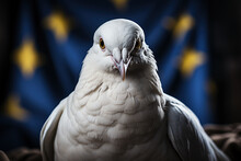 Dove Head With European Flag In The Background. Selective Focus. Concept Of Monetary Doves In Monetary Policy.