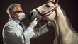 Male veterinarian with horse closeup shot. veterinarian making the horse ready for the horse vaccination.