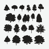Fototapeta Lawenda - Nature's Elegance Unleashed: A Bountiful Collection of Exquisite Silhouettes - Trees in All Their Majesty and Splendor