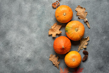 Wall Mural - Vertical border of decorative pumpkins and dry autumn leaves, gray concrete background. Top view, flat lay, copy space.