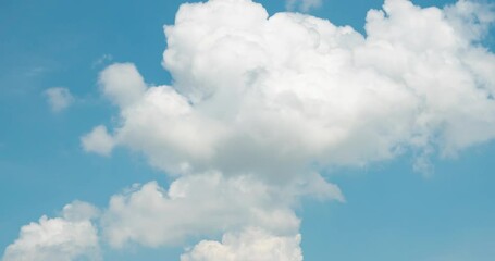Wall Mural - Cloud blue sky background Time lapse Beautiful white clouds approach the point of view backed by a vivid blue sky in this one minute loop Time lapse raw photo interval at 1 second fade at video's end